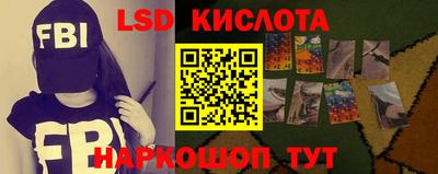 мет Кингисепп
