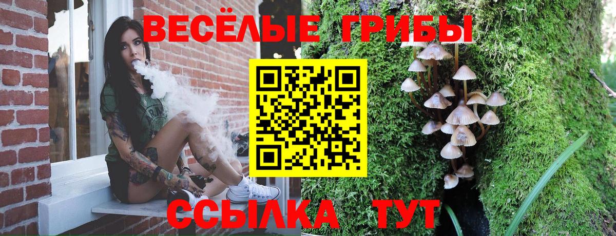 Кстово  Псилоцибиновые грибы мицелий  Вход с VPN 